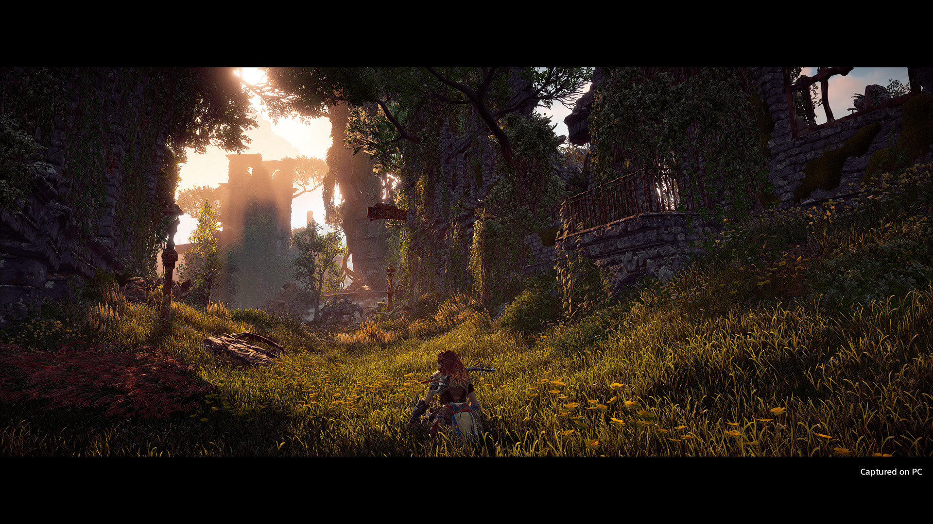 PS4《地平线：零之黎明 – 年度版.Horizon: Zero Dawn Complete》中文下载-2.png