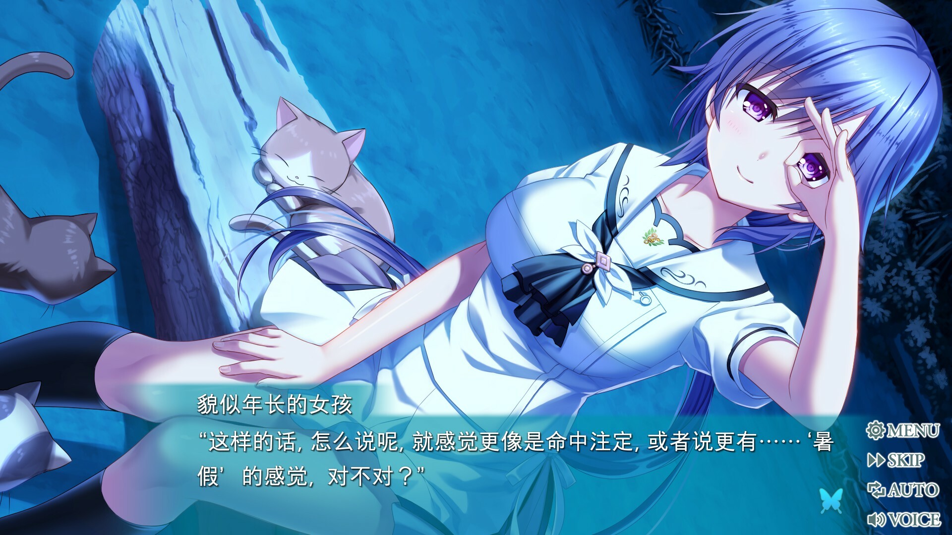 PC《夏日口袋：流光蓝(Summer Pockets REFLECTION BLUE)》中文版+v1.3.2.1下载-6.jpg