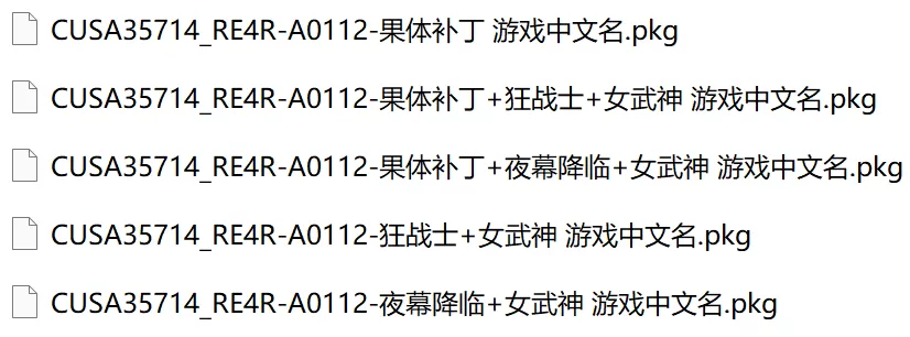 PS4【5.05】《生化危机 Ⅳ 重制版》CUSA35714港版中文【PKG】+V1.12+mod下载-1.jpg